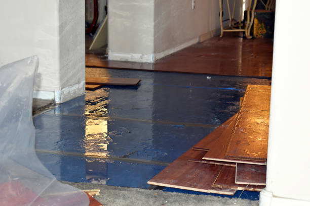 Professional Water Damage Restoration technician working in Woodland, WA